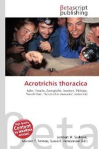Acrotrichis thoracica