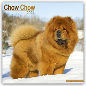Chow Chow 2024 - 16-Monatskalender