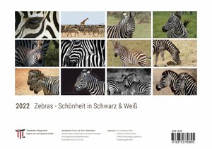 Zebras - Schönheit in Schwarz & Weiß 2022 - White Edition - Timokrates Kalender, Wandkalender, Bildkalender - DIN A4 (ca. 30 x 21 cm)