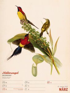 Wunderbare Vogelwelt - Wochenplaner Kalender 2023