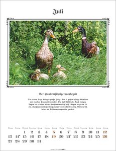 Der Hundertjährige Kalender 2026