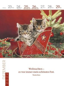 Literaturkalender Katzen 2024