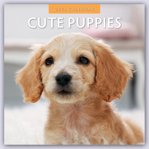 Cute Puppies - Niedliche Hundewelpen 2024 - 16-Monatskalender