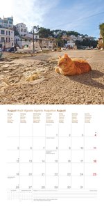 Cats Around the World 2024 - Wand-Kalender - Broschüren-Kalender - 30x30 - 30x60 geöffnet - Katzen-Kalender