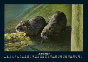 Der Tierkalender 2023 Fotokalender DIN A4
