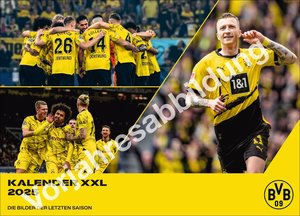 BVB Edition 2026