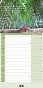 Meditation 2025 - Streifenplaner 22 x45 cm - mit einer Spalte für Eintragungen und einer für Geburtstage - Familienkalender - Familienplaner - Achtsamkeit
