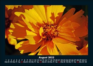 Blumenkalender 2022 Fotokalender DIN A5
