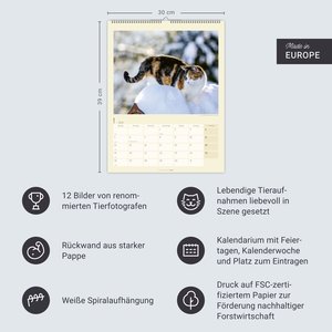 Katzen auf dem Lande Kalender 2026
