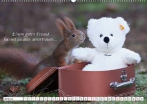 Tipps von Eichhörnchen an Eichhörnchenliebhaber (Wandkalender 2023 DIN A2 quer)