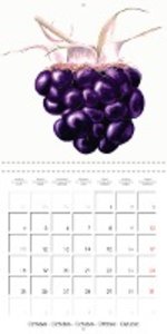 FRUITS SELECTED PAINTINGS BY YANNY PETTERS (Wall Calendar 2021 300 × 300 mm Square)