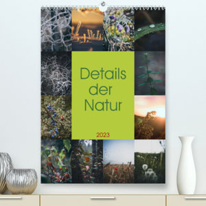 Details der Natur (Premium, hochwertiger DIN A2 Wandkalender 2023, Kunstdruck in Hochglanz)