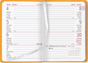 Ladytimer Mini Deluxe Honey 2023 - Taschen-Kalender 8x11,5 cm - Tucson Einband - Motivprägung Spruch - Weekly - 144 Seiten - Alpha Edition