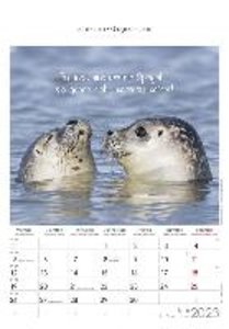 Kleine Freunde 2023 - Bildkalender 23,7x34 cm - Kalender mit Platz für Notizen - mit vielen Zusatzinformationen - Wandkalender - Alpha Edition