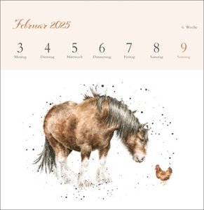 Hannah Dale: Happy Animals Premium-Postkartenkalender 2025