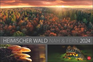 Wald nah und fern Edition Kalender 2024. Der Wald von seiner schönsten Seite in einem Wandkalender. Kalender Großformat mit idyllischen Landschafts-Fotos.