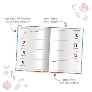 Trötsch Taschenkalender A7 Marienkäfer 2025