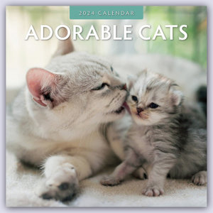 Adorable Cats - Liebenswerte Katzen 2024 - 16-Monatskalender