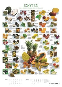 Food 2025 - Bildkalender 50x70 cm - mit kurzen Beschreibungen zu den Obst- und Gemüsesorten - Küchenkalender - Dumont - Posterkalender