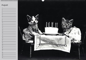 Katzen und Hunde - Nostalgie auf Pfoten (Wandkalender immerwährend DIN A2 quer)