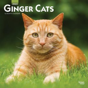 Ginger Cats 2023 Square