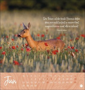 Ich wünsch dir ... Zeit zum Träumen Postkartenkalender 2022