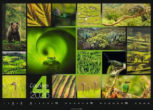 Colours of Nature Kalender 2026
