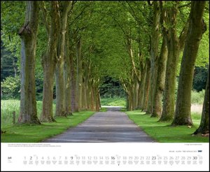 Bäume – Alleen 2023 – Wandkalender 52 x 42,5 cm – Spiralbindung