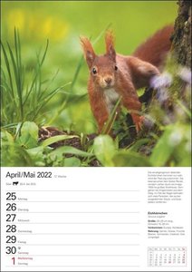 Heimische Tiere Kalender 2022