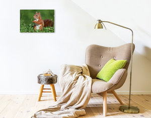 Premium Textil-Leinwand 45 cm x 30 cm quer Eichhörnchen Mama Luna mit Haselnuss