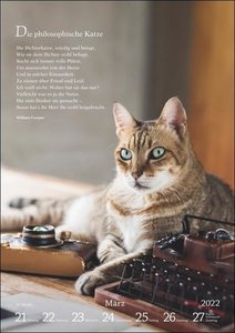 Literaturkalender Katzen 2022