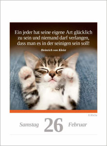 Eine Katze für jeden Tag 2023  - Tagesabreißkalender zum Aufstellen oder Aufhängen