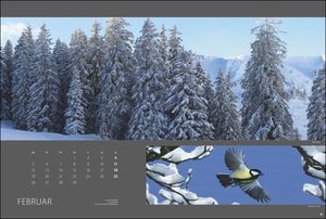 Wald nah und fern Edition Kalender 2024. Der Wald von seiner schönsten Seite in einem Wandkalender. Kalender Großformat mit idyllischen Landschafts-Fotos.