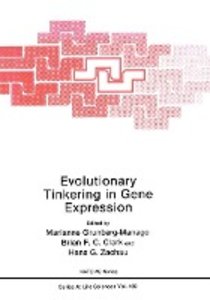 Evolutionary Tinkering in Gene Expression