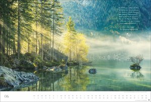 Der deutsche Wald - Ein literarischer Spaziergang Kalender 2026 - Ein literarischer Spaziergang