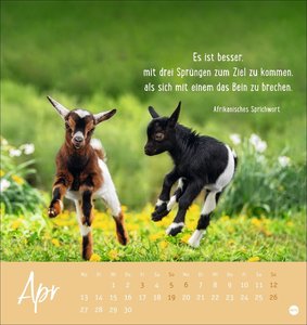 Never give up! Postkartenkalender 2026