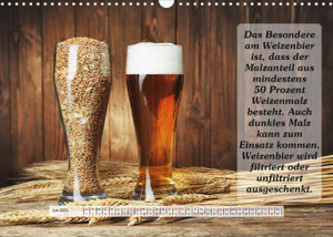 Wissenswertes über Bier (Wandkalender 2023 DIN A3 quer)