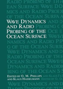 Wave Dynamics and Radio Probing of the Ocean Surface