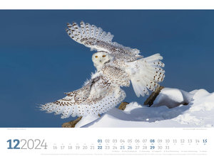Unsere Vogelwelt Kalender 2024