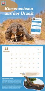 WAS IST WAS Tierwelt Broschurkalender 2026