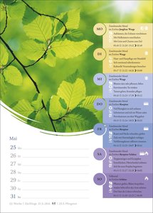 Mondkalender Wochenkalender 2026