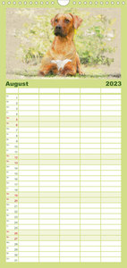 Familienplaner Rhodesian Ridgeback 2023 (Wandkalender 2023 , 21 cm x 45 cm, hoch)