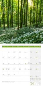 Naturwunder Deutschland Kalender 2025 - 30x30
