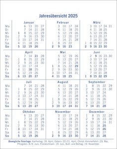 Dumme Sprüche für jeden Anlass Tagesabreißkalender 2025