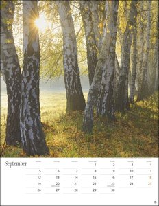 Jenseits der Hast Kalender 2022