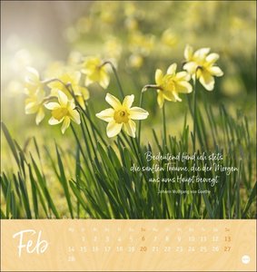 Ich wünsch dir ... Zeit zum Träumen Postkartenkalender 2022