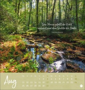 Unser Wald Postkartenkalender 2025