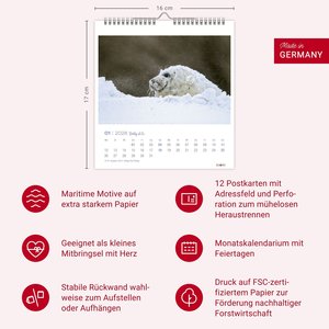 Robby & Co. Postkartenkalender 2026