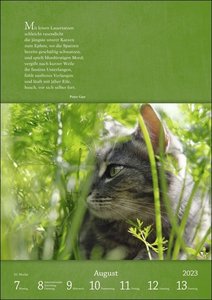 Literaturkalender Katzen Wochen-Kulturkalender 2023. 53 Katzenporträts und katzenverliebte Literaturauszüge in einem Wochenkalender 2023. Dekorativer Kalender für Katzenliebhaber.