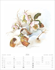 Alpenblumen-Aquarelle Kalender 2026